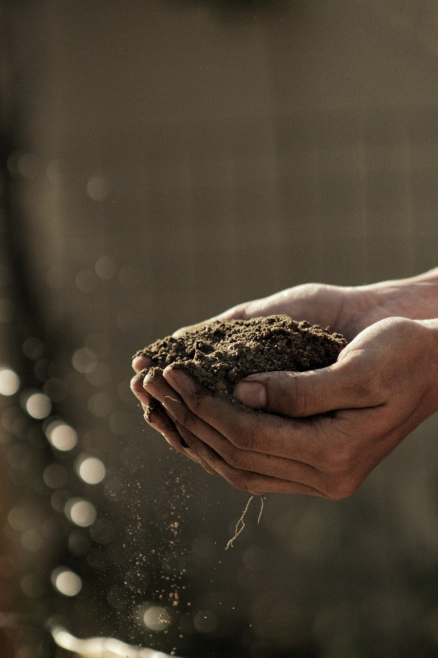 dirty, hand, palm, soil, sand, planting, nature, outdoor, garden, brown garden, brown gardening, brown sand, soil, soil, soil, soil, soil
